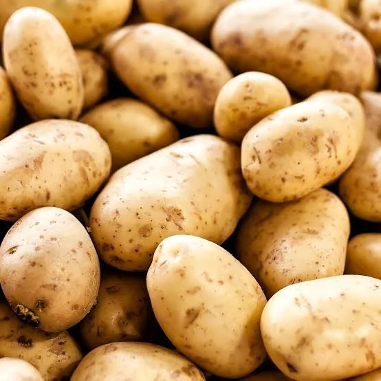 Pomme de terre